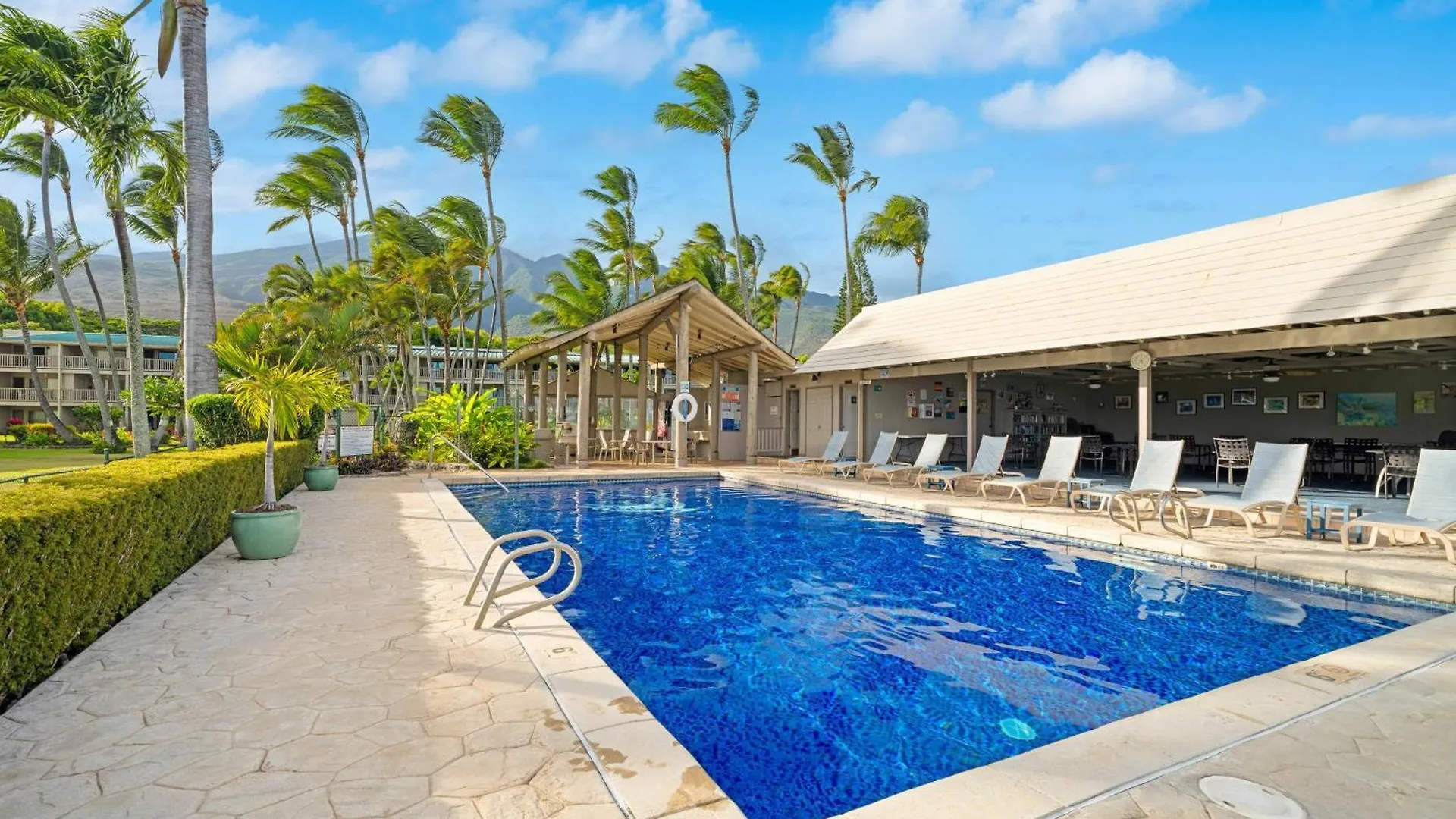 Appartement Oceanfront Condo With Pool And Grills In Molokai! Kaunakakai États-Unis