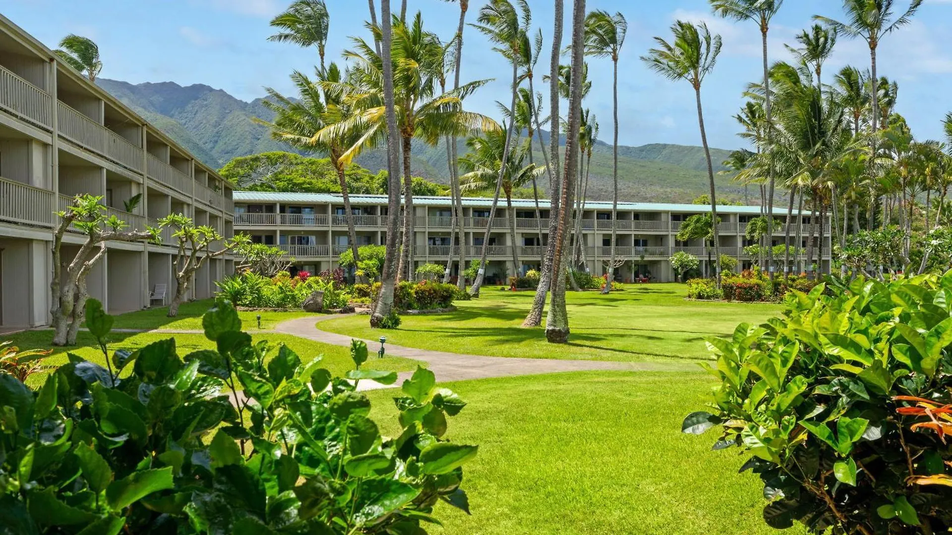 Oceanfront Condo With Pool And Grills In Molokai! Kaunakakai 0*,  États-Unis